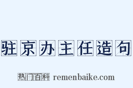 驻京办主任造句是什么意思的图片